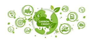 Carbon Credit